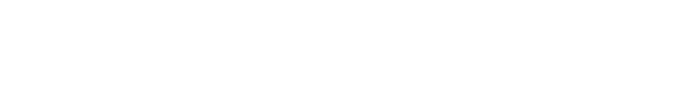 asset